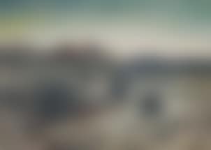 Thorn bushes in the Algarve desert, Portugal (preview)