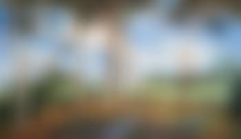 Die Birken (preview)