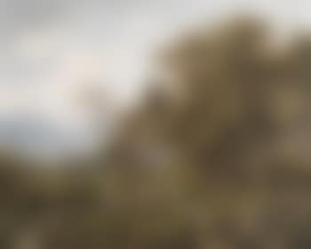 Scene from Styria, Upper Ennsthal (preview)
