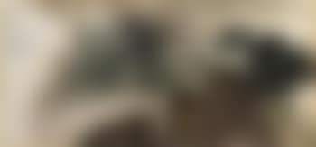 In my view (preview)