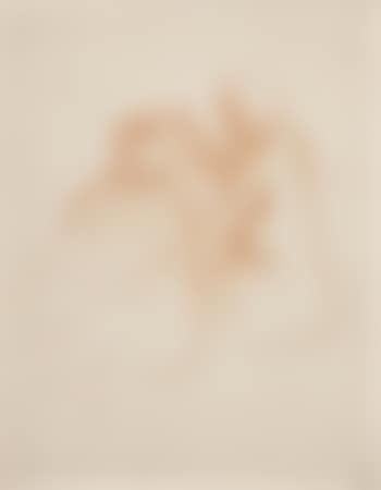 Nude models (preview)