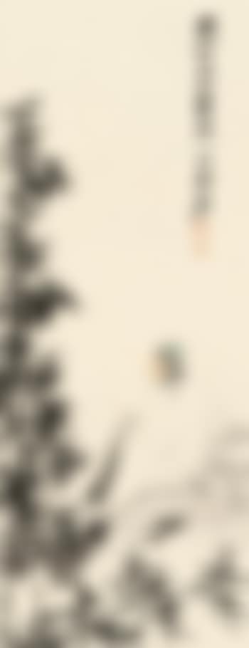 Scholar (preview)
