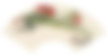 Flowers and vegetables (preview)