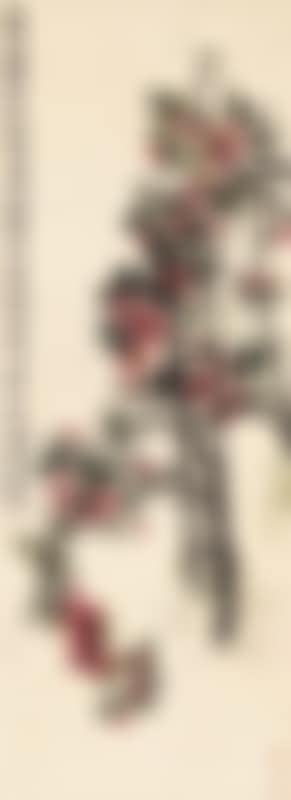 Camellias (preview)