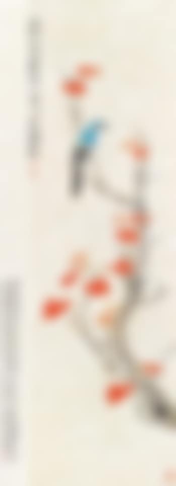 Bird (preview)