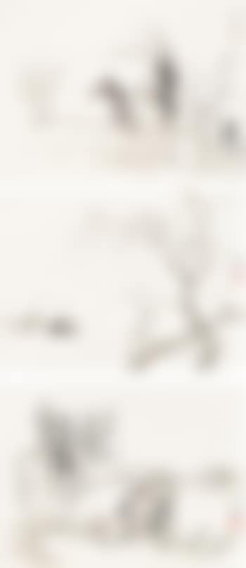 Landscape (preview)