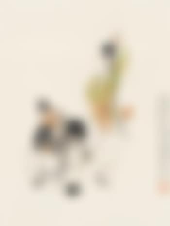 Figures (preview)