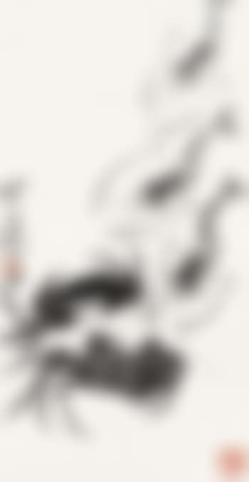 Shrimp (preview)