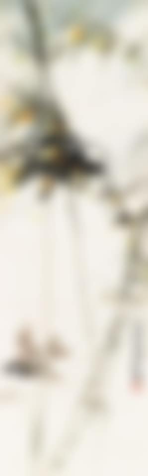 Bird and bamboo (preview)