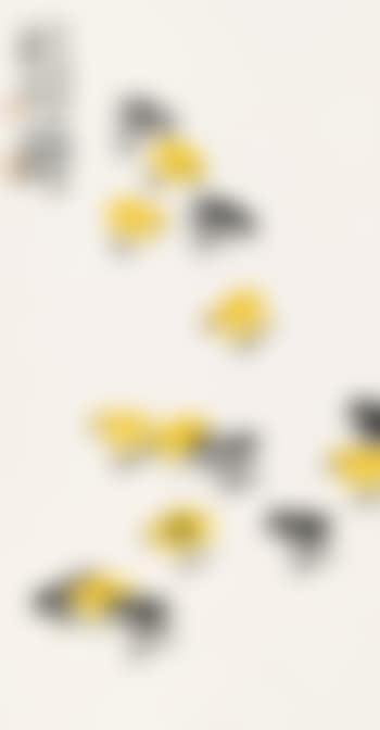 Chicken (preview)