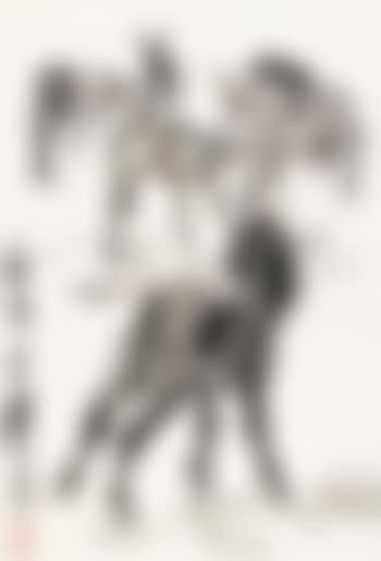 Donkey (preview)