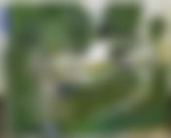 La grande truite (preview)