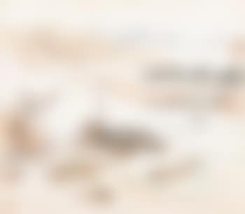 From nature (preview)