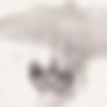 Mooring in fog (preview)