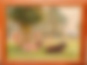 Welcome shade (preview)