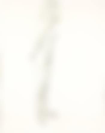 Standing nude turning left (preview)