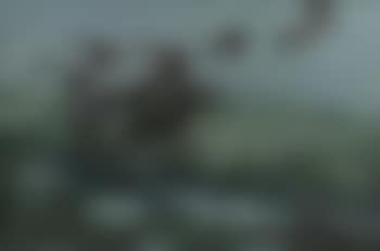 Ducks descending into a marsh (preview)