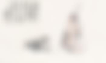 Figure (preview)