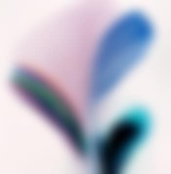 Phenomena Maimonides mantle (preview)
