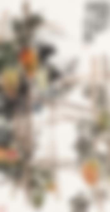 Balsam pear (preview)