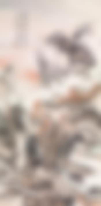 Dusk (preview)