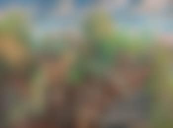 Cloudy sky, trees and riverbed (preview)