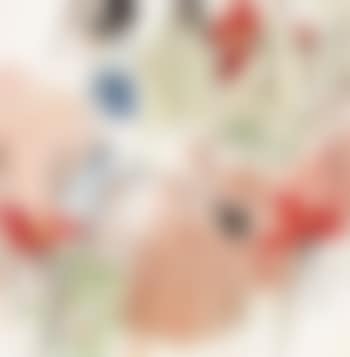 Lotus and a girl (preview)
