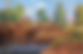 Torfstich in Worpswede (preview)