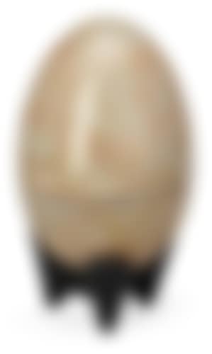Egg (preview)