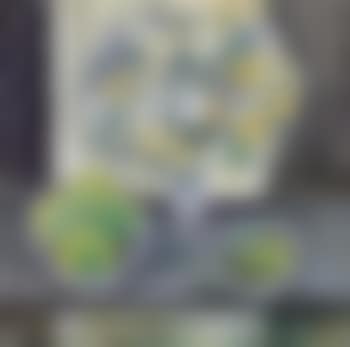 Still life (preview)