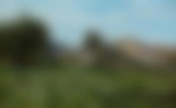 Vue de Lourmarin (preview)