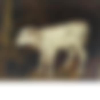 Study of a calf (preview)