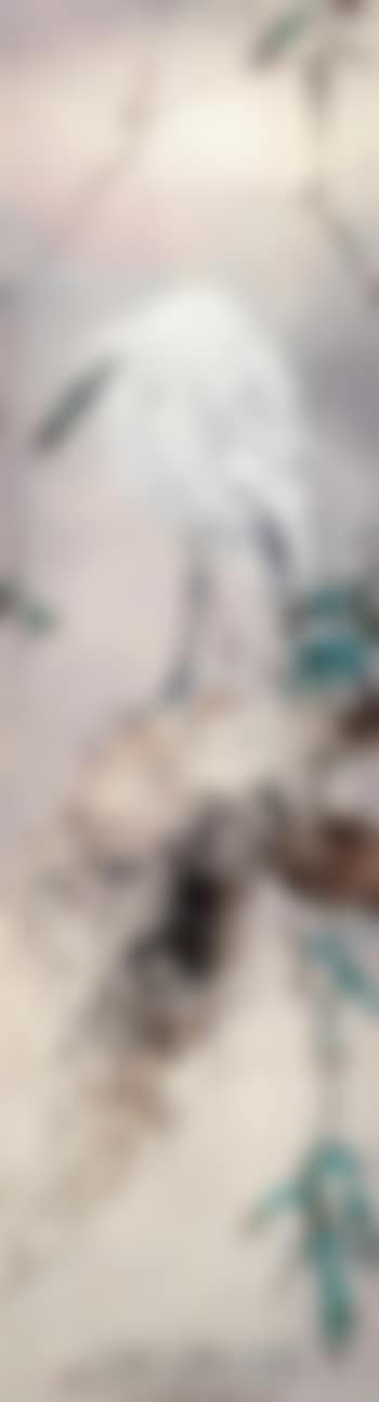 Bird (preview)