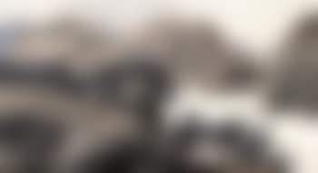 Landscape (preview)