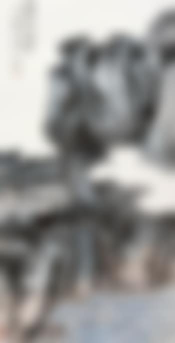 Landscape (preview)