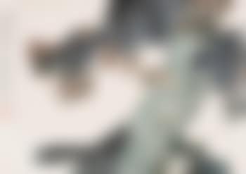 [Untitled] (preview)