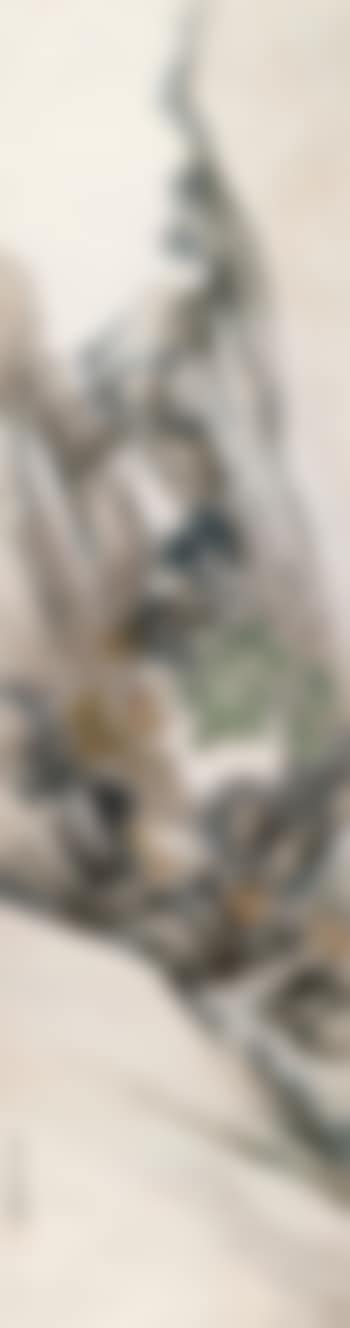 Animal (preview)