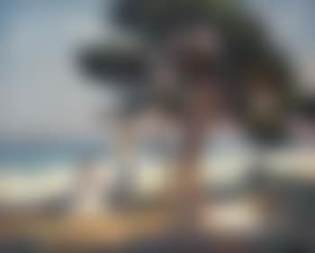 Einsamer Strand (preview)