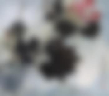 Flowers (preview)