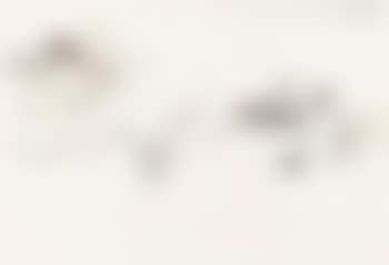 Scenery (preview)