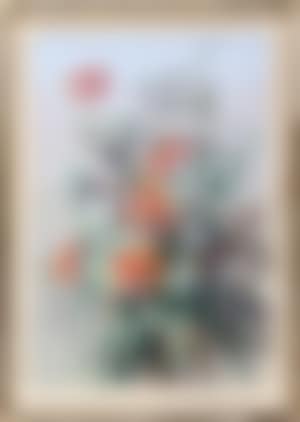 Flowering eucalyptus (preview)