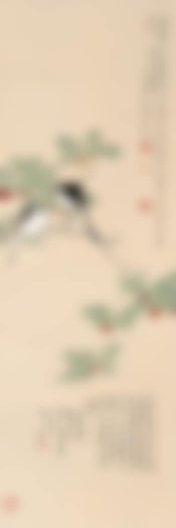 Magpies (preview)