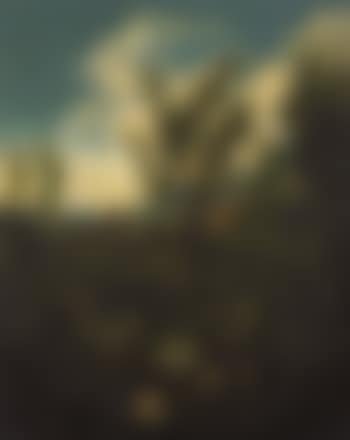 Landschaft mit Kapuzinermönchen und Bauern (preview)