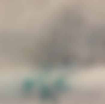 Bird in the wild (preview)
