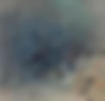 Partridge in pond (preview)