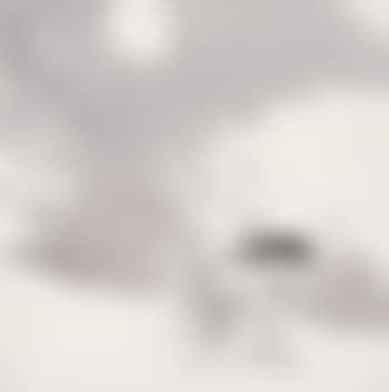 Return in a snowing night (preview)