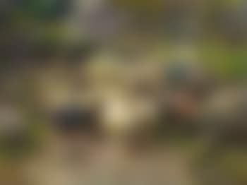 Hirtin mit Ziegenherde (preview)