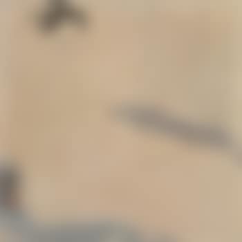 Nude (preview)