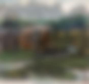 Landscape (preview)
