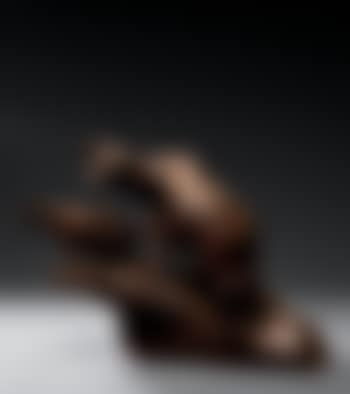 Two bulls (preview)